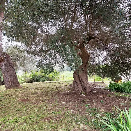 Gasthof Masseria Dell'800 Castellana Grotte